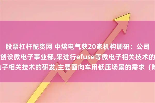 股票杠杆配资网 中熔电气获20家机构调研：公司在上海设立研发中心,创设微电子事业部,来进行efuse等微电子相关技术的研发,主要面向车用低压场景的需求（附调研问答）