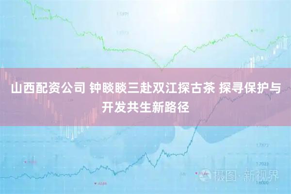 山西配资公司 钟睒睒三赴双江探古茶 探寻保护与开发共生新路径